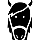 animals,head,farm,horse,horses